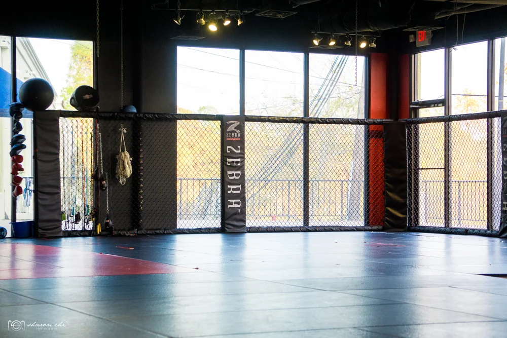 Modern martial arts training facility