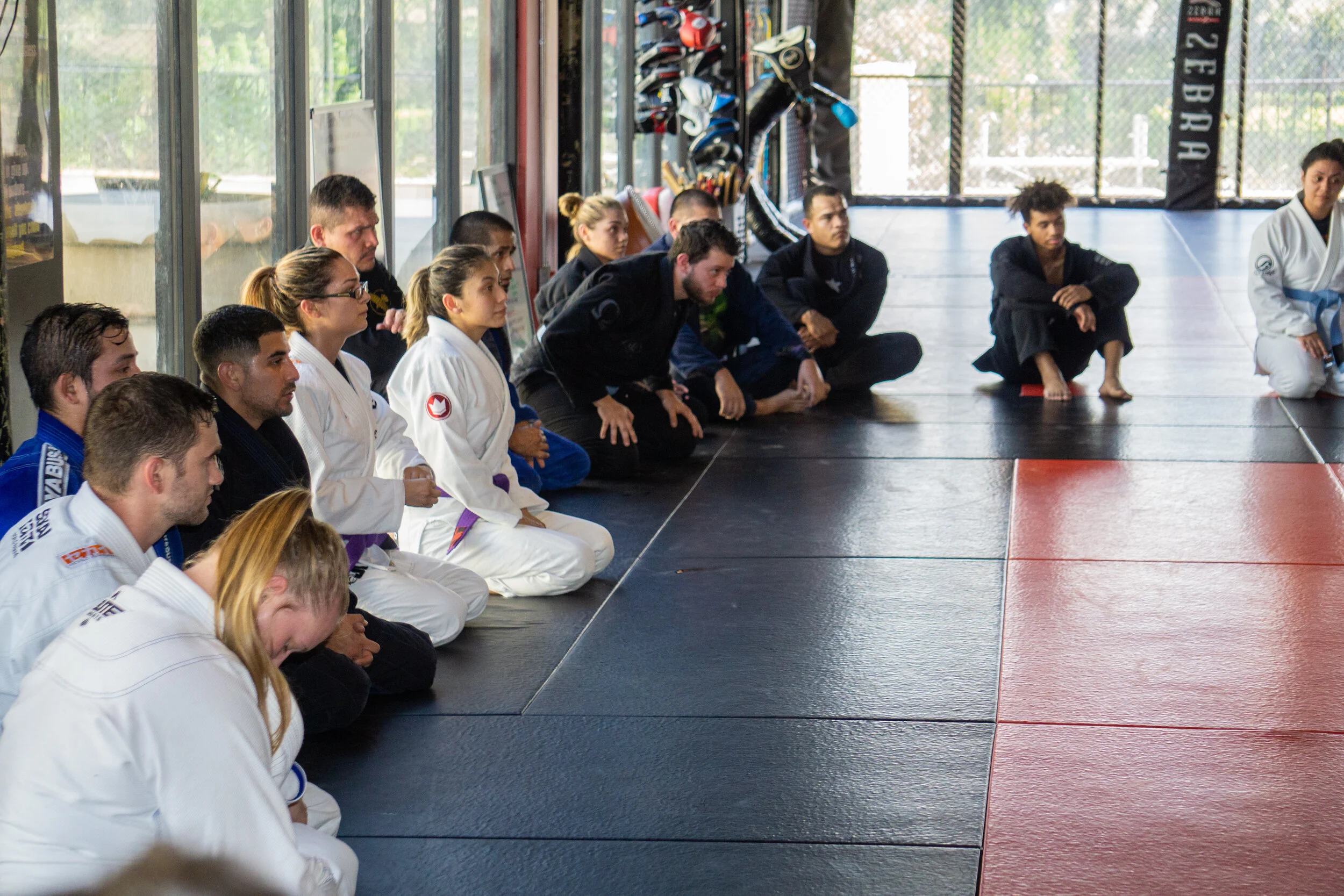 TX 3RD COAST MMA photo (Gym's own website)